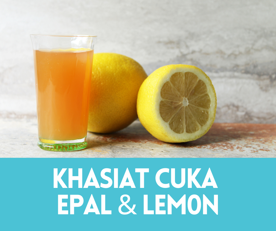Khasiat Cuka Epal & Lemon | Cara Minum Cuka Epal Untuk Kurus