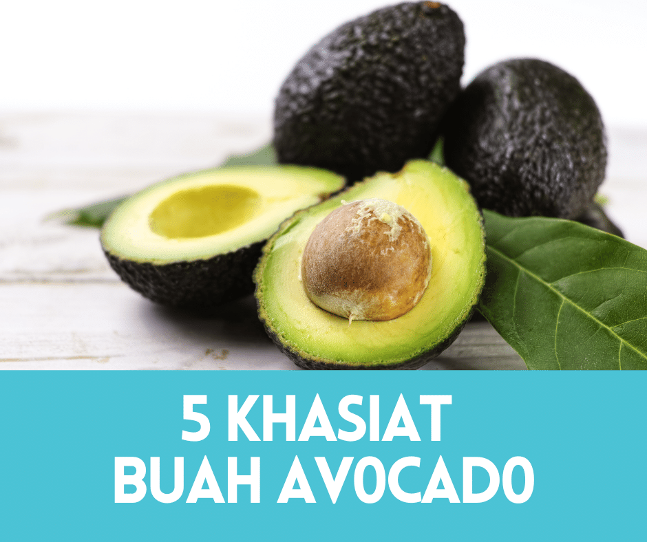 khasiat buah avocado