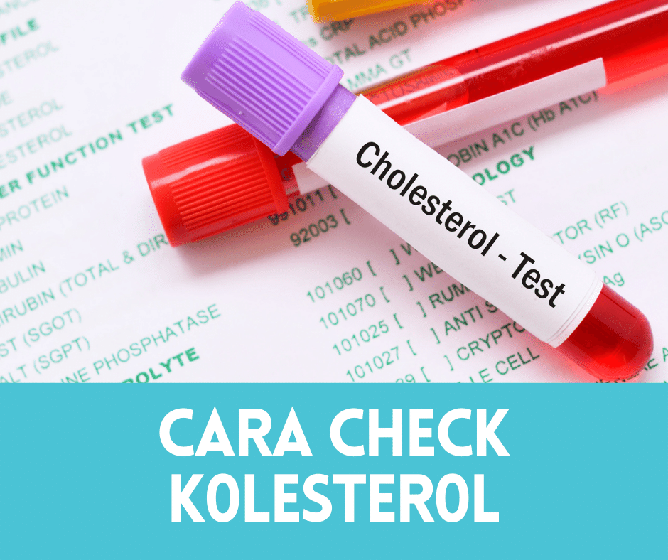 Cara Check Kolesterol